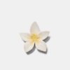 Bloemclip