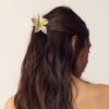 Bloemclip