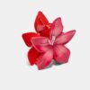 Bloemclip