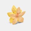 Bloemenhaarclip