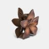 Bloemenhaarclip