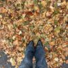 Bootcut-jeans met lage taille Bootcut-jeans met lage taille