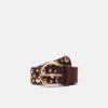 Riemen met onregelmatige multi-studs